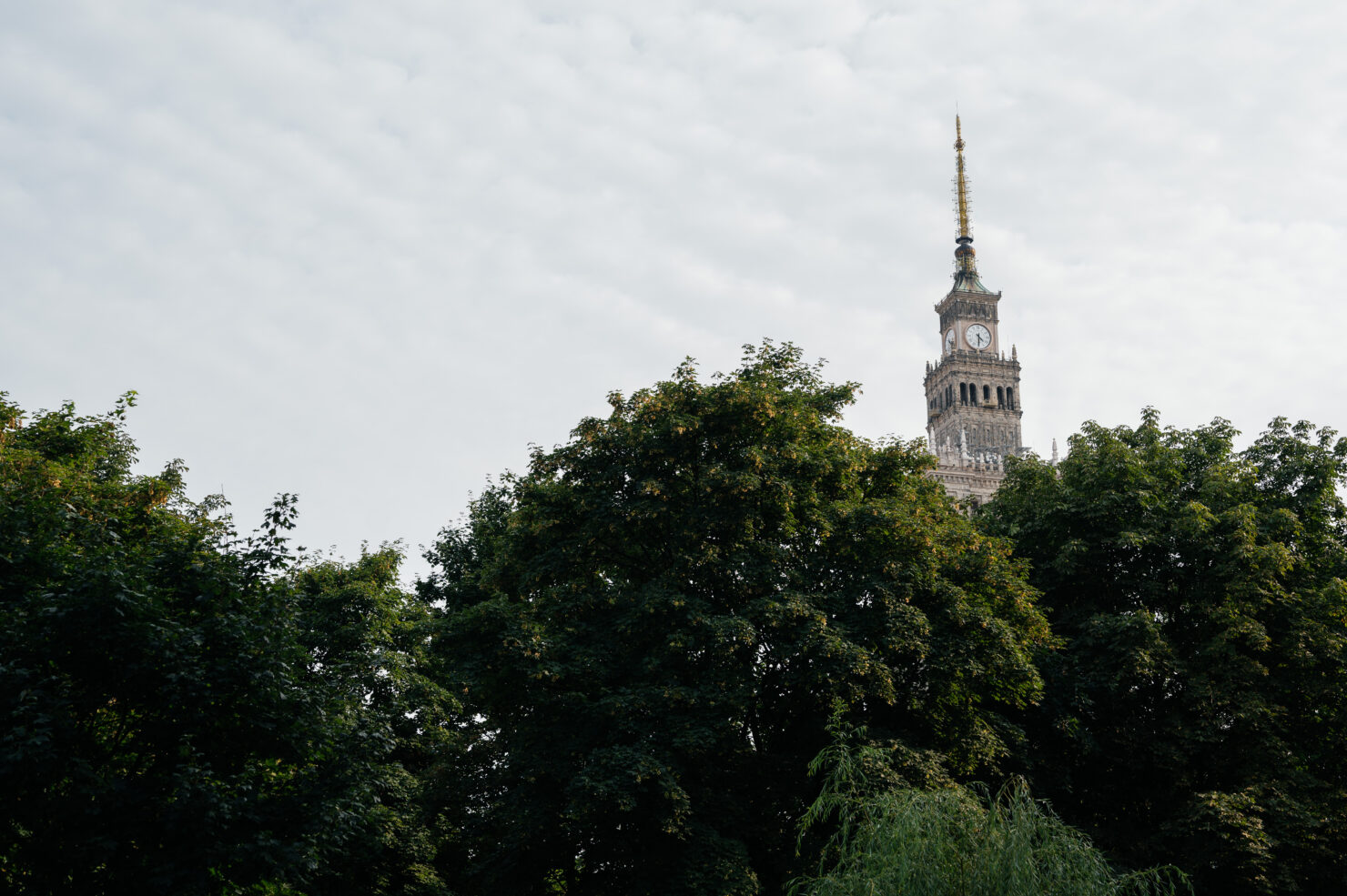 Iza i Michał - poślubna sesja miejska w Warszawie - poślubna sesja miejska